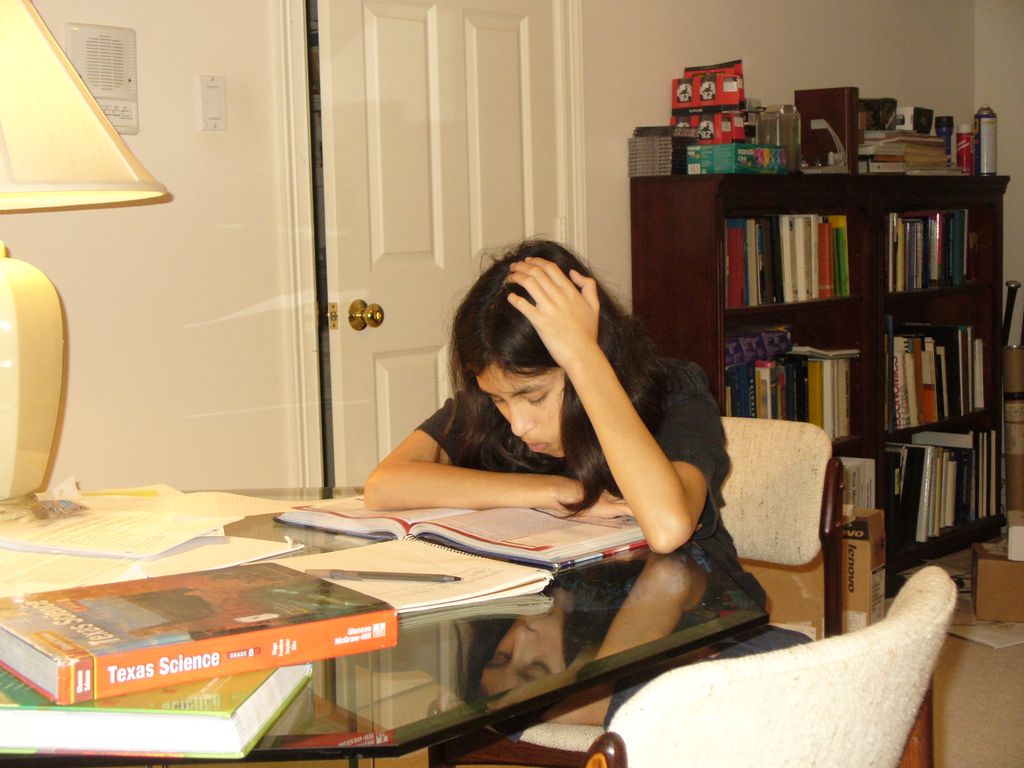 Used to hate Math.  Now she loves it and makes exc
