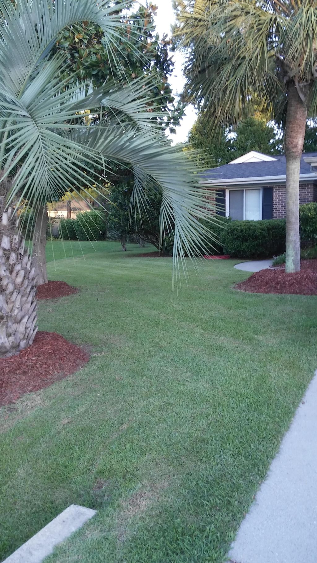 weekly and bi-weekly service