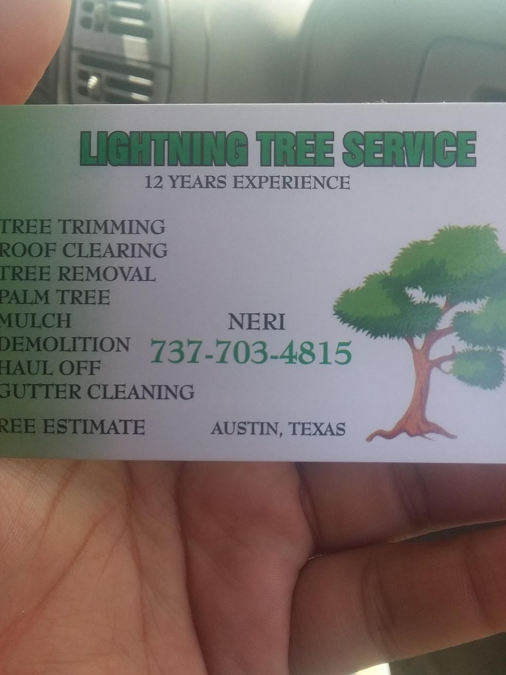 lightning tree service