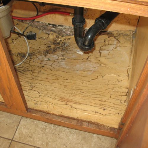 sink water damage/mold