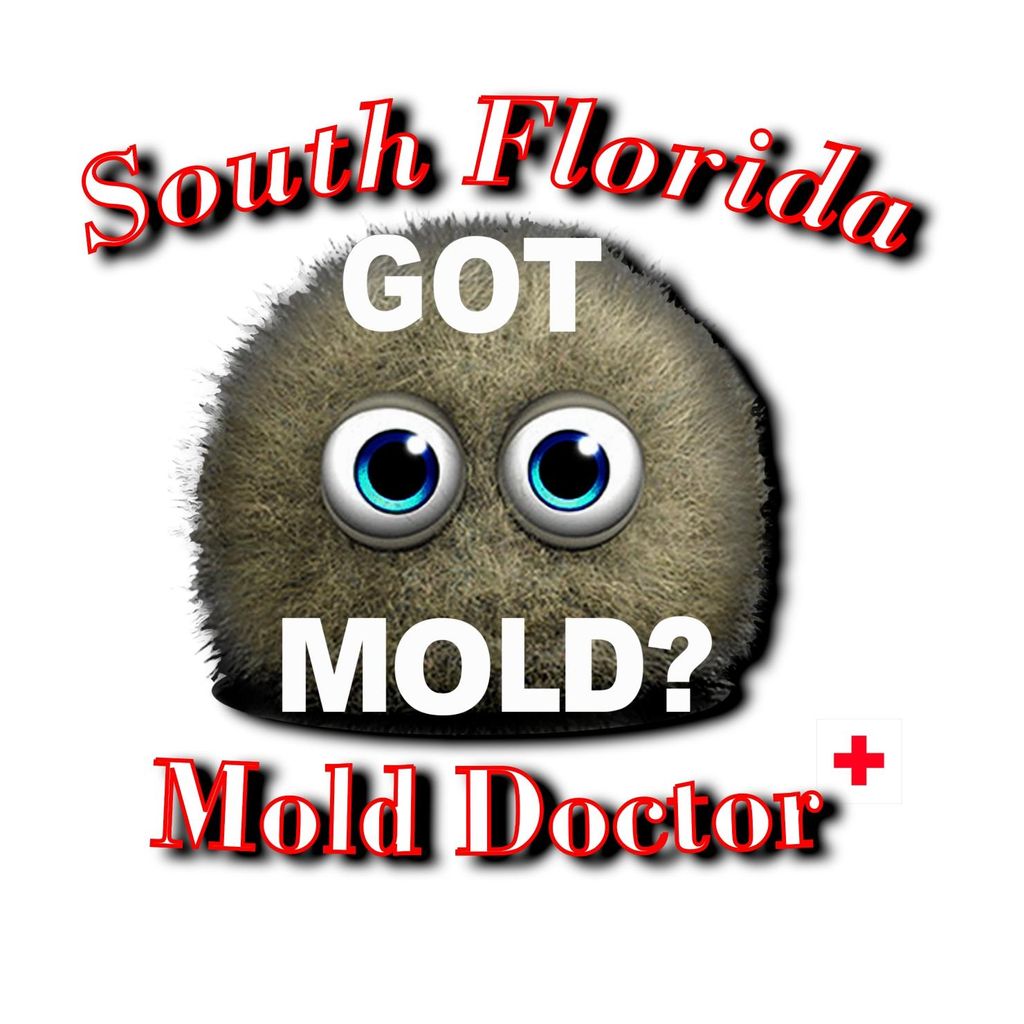 South Florida Mold Doctor