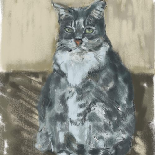 Digital pastel drawing of Snickers cat