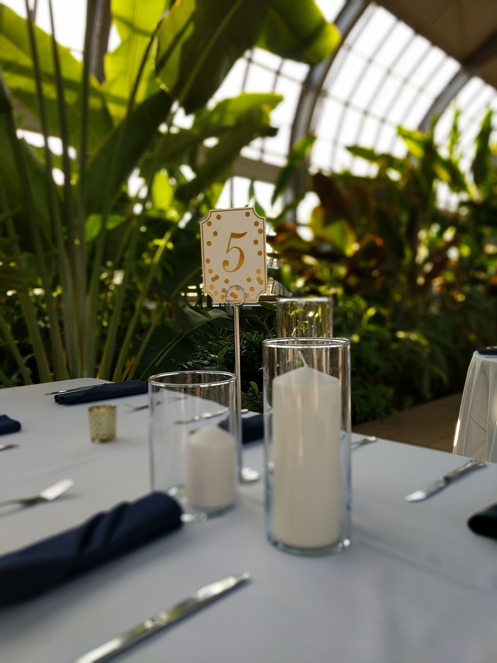Botanical Conservatory Wedding - Chicago, IL