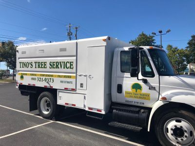 Avatar for Tino’s tree service inc