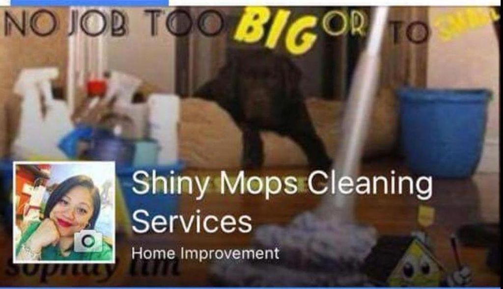 Shiny Mops Cleaning & Handyman Services