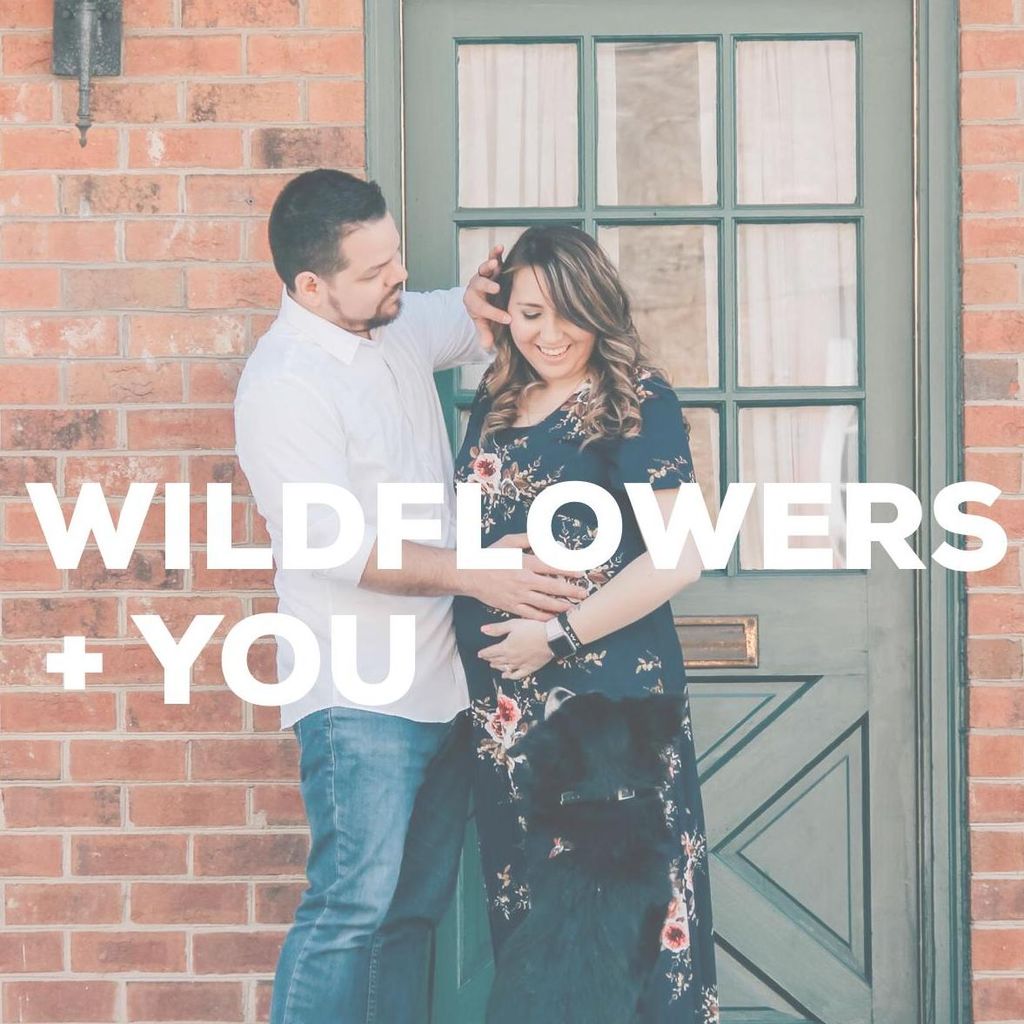 Wildflowers + You Photography