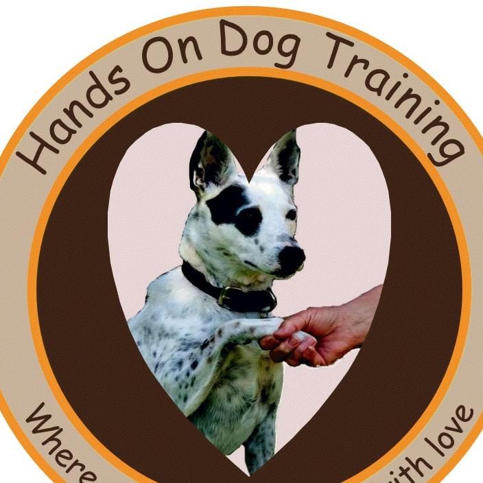 Hands on Dog Training