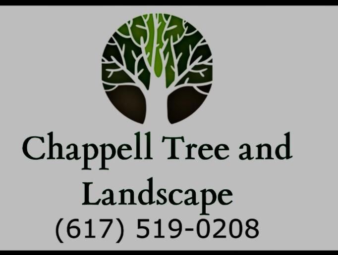 Chappell Tree And Landscape