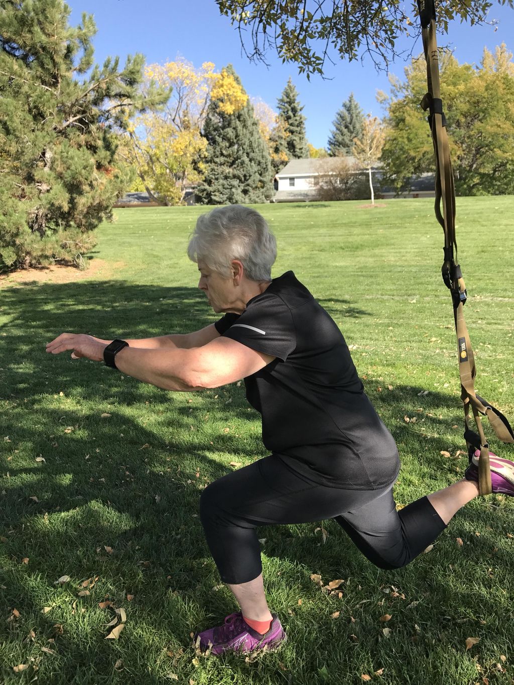 Suspended lunges at the park like a pro!