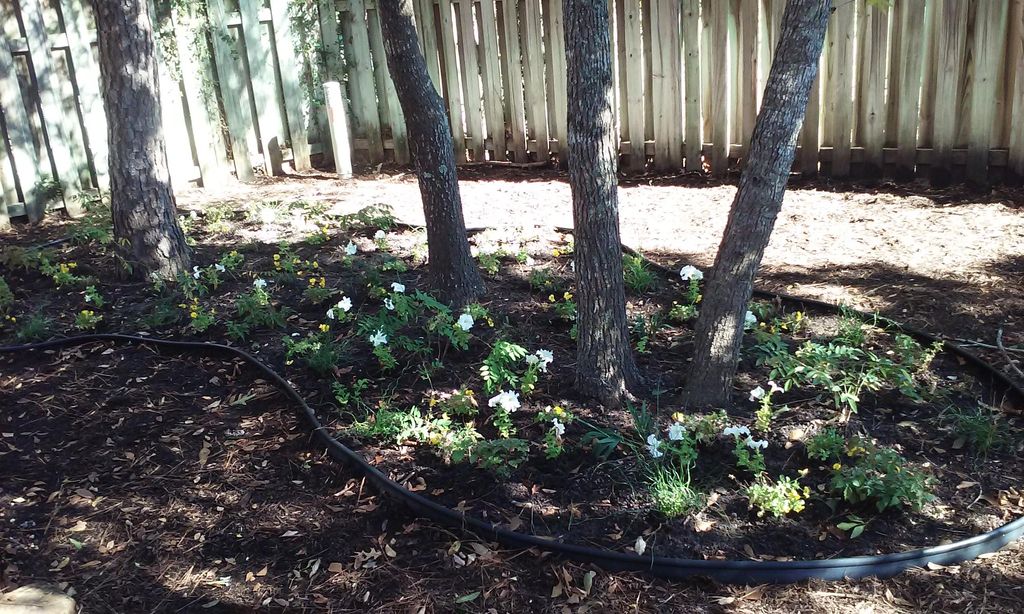 created shade garden (after photo)