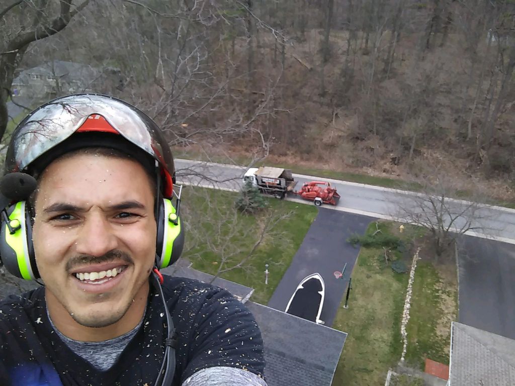 Extreme Tree and Landscape