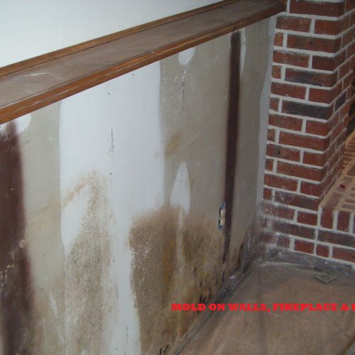 Mold on drywall, fireplace and floor!