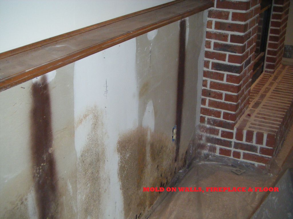 Mold on drywall, fireplace and floor!