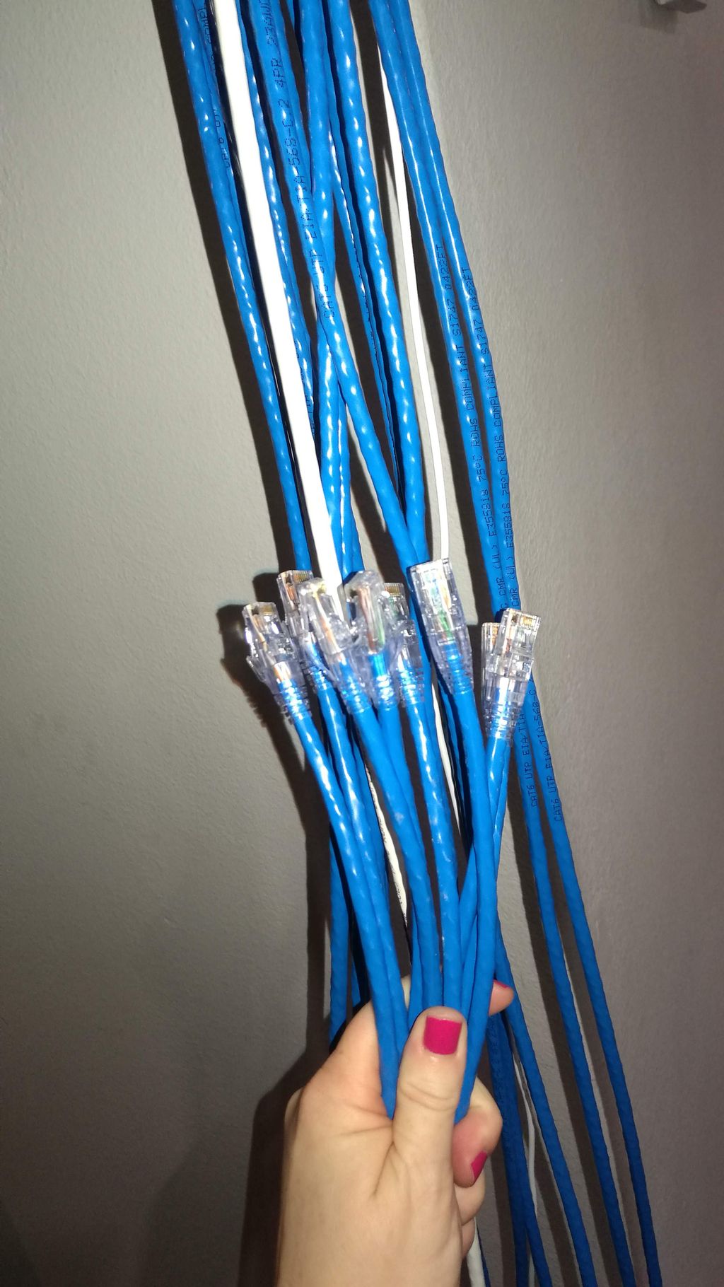CAT6 Terminations