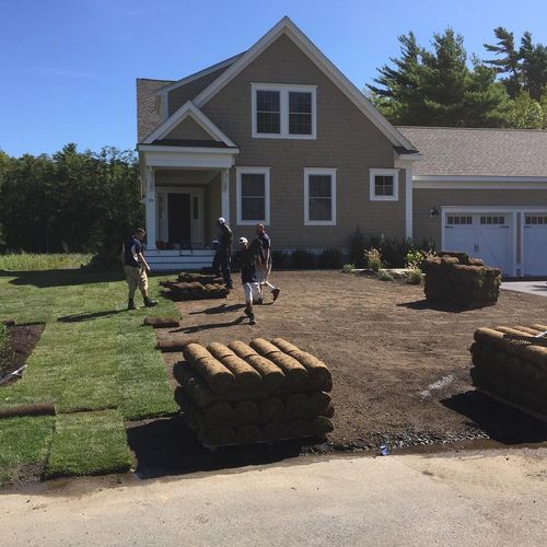 10,000 sq ft of sod installation (front)