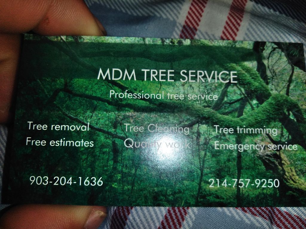 MDM Tree service