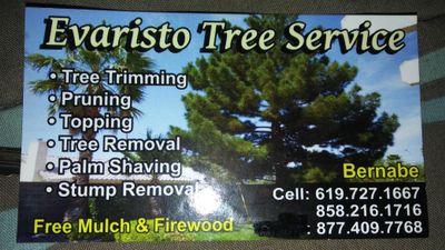 Avatar for Evaristo tree service