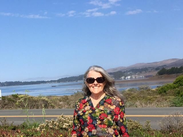 In Bodega Bay, Fall 2015