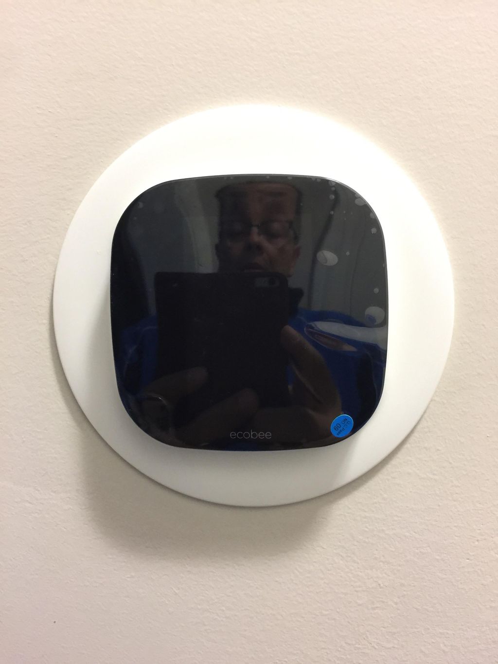 New ecobee installation 1