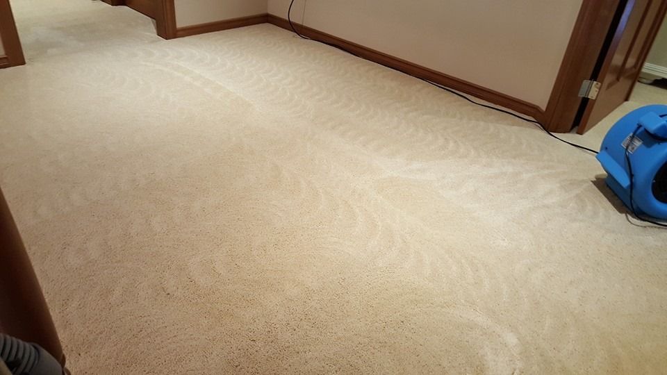 Swirl Design from our carpet cleaning head!  It sp