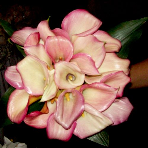 Pink Calla Lily Bridal bouquet.
