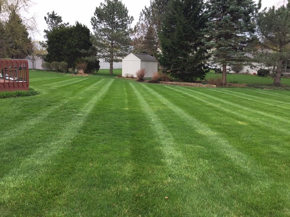 First cut of the spring