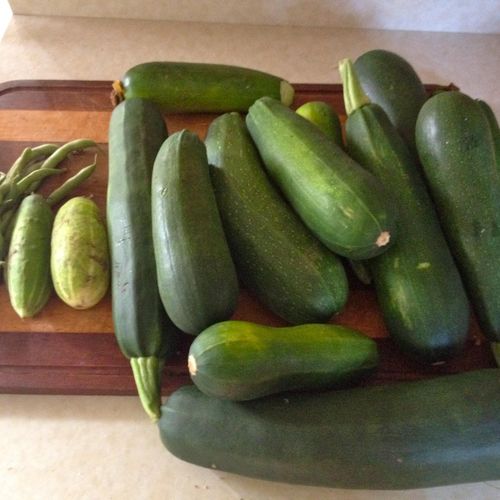 Summer's bounty, all from the garden: Green beans,
