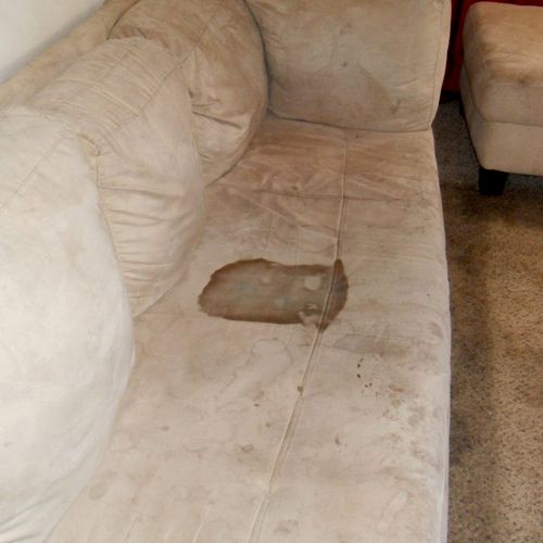 Soiled sofa before cleaning