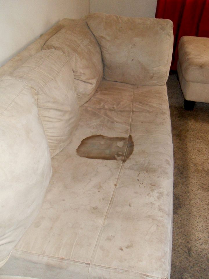 Soiled sofa before cleaning