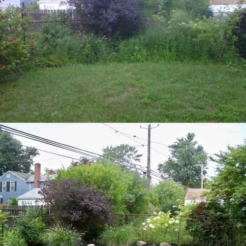 Before and after garden bed maintenance