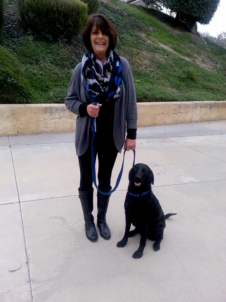 AKC Canine Good Citizen Graduate!