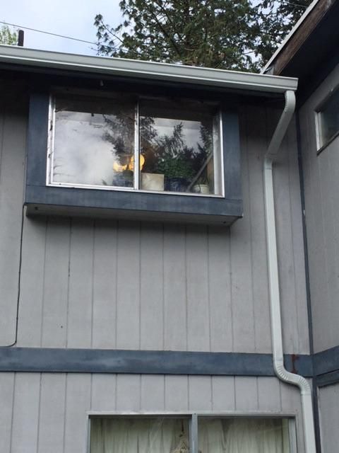 Yes, we install gutters as well.