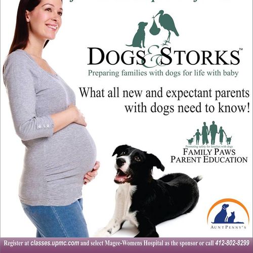 DOGS and STORKS classes &
Dogs and Toddlers classe