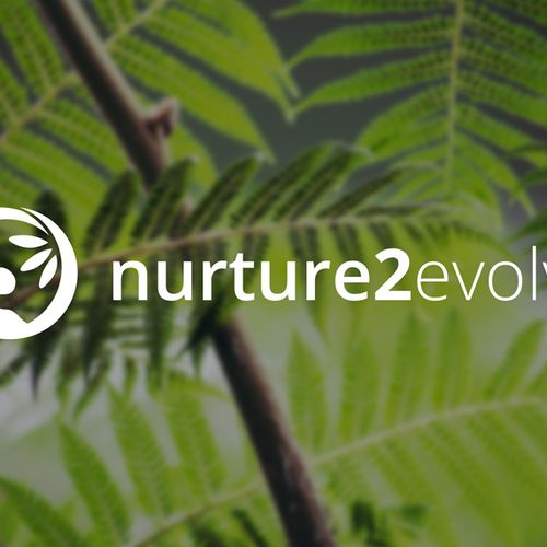 Nurture2Evolve Logo Design