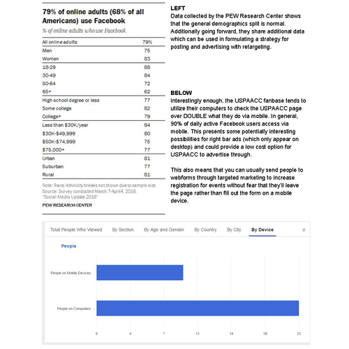 USPAACC Social Media Audit & Analysis Page Example