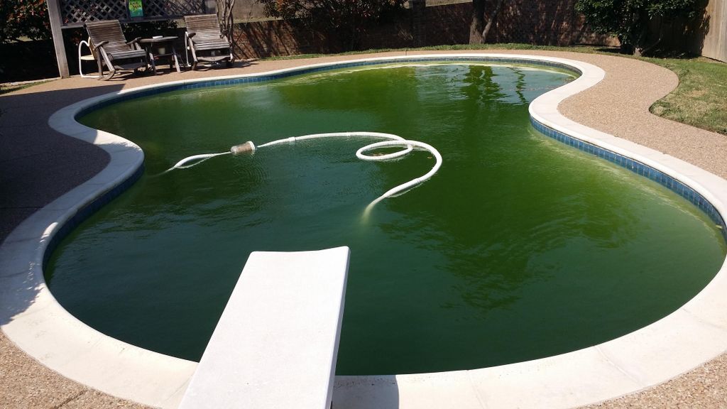 Green Water Restoration ~ First