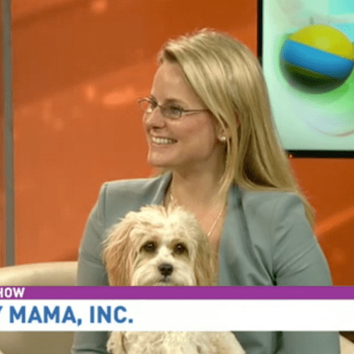 Theresa Piasta interviewed on abc 7's Pet Show - I