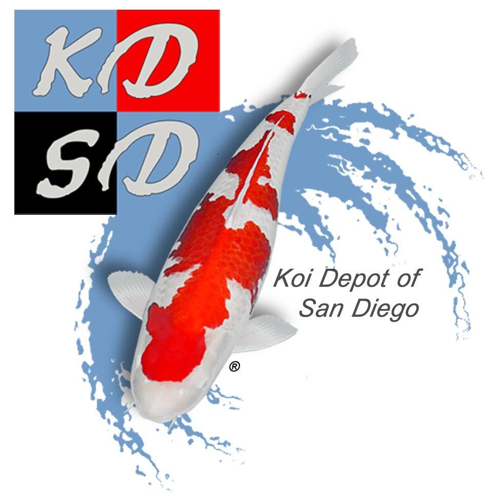 Koi Depot of San Diego/Inland Empire