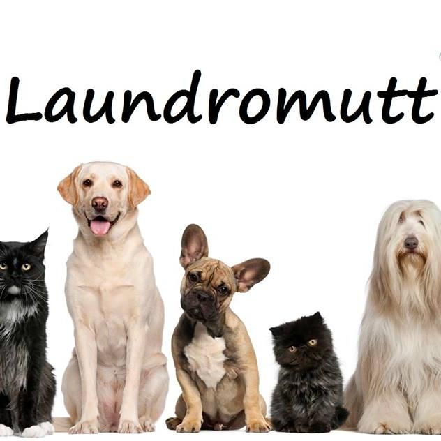 The Laundromutt