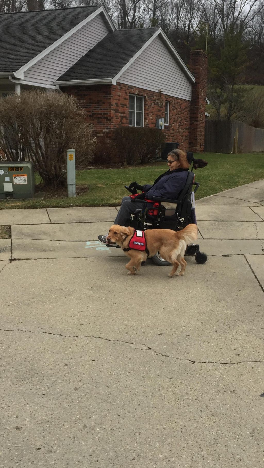 Marty & Bella walking off-leash perfectly! (1-18-2