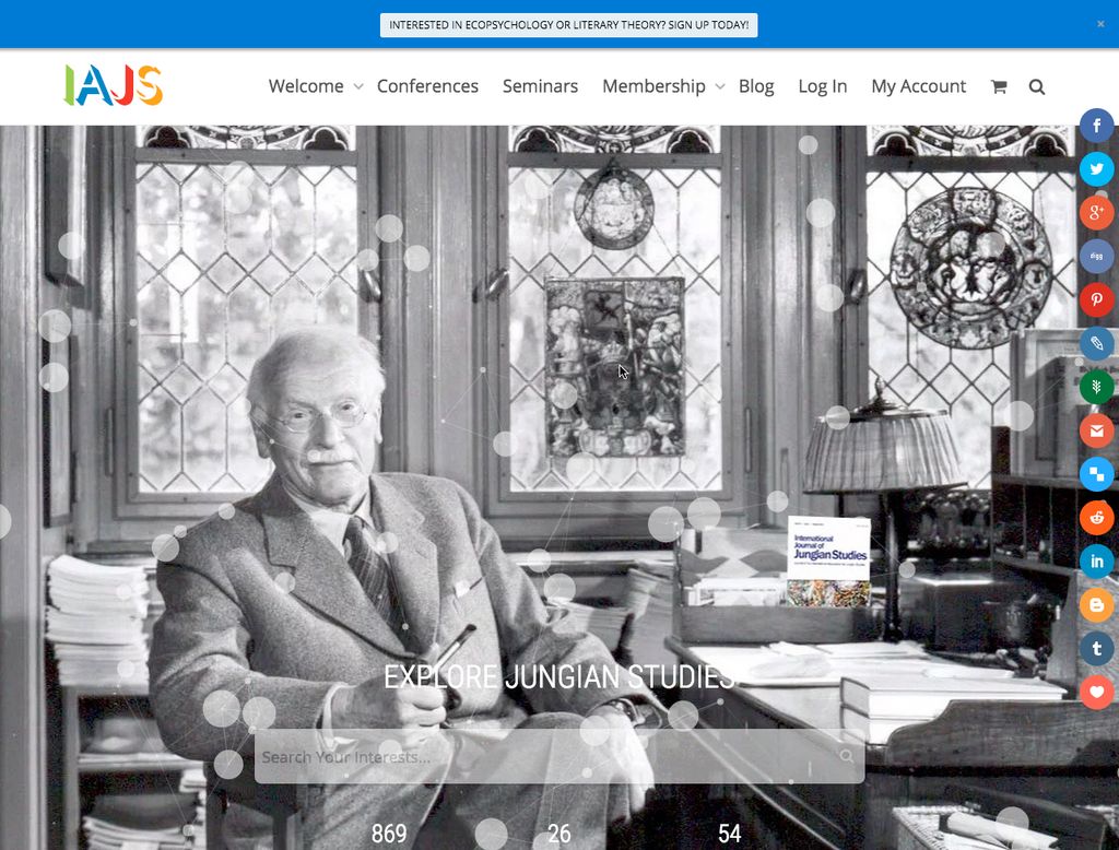 Website for CA non-profit. The International Assoc