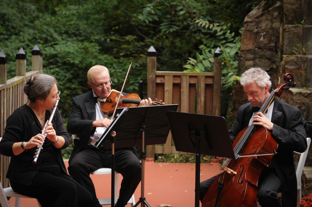 The Antares Musicians - Flute and Strings Trio - p