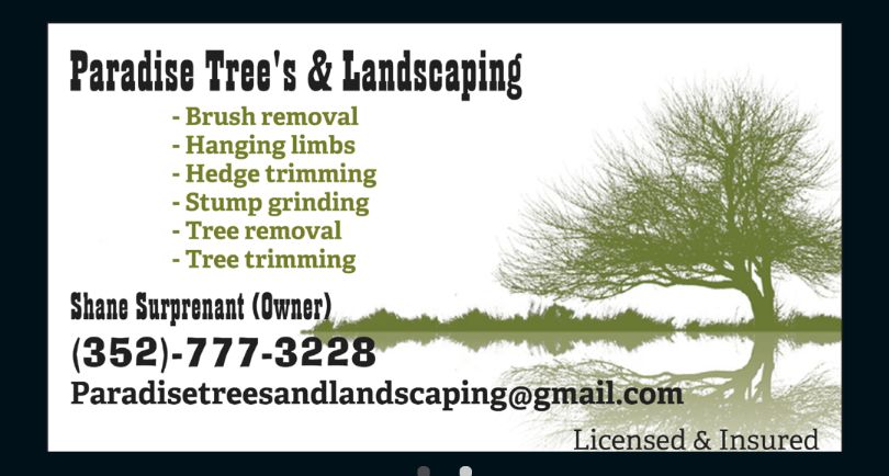 Paradise Trees Landscaping Hernando Fl, Paradise Landscaping And Tree Removal