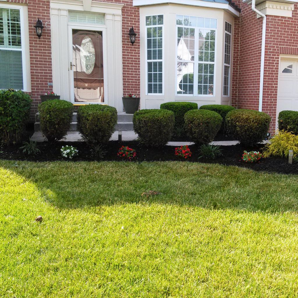 TOP Landscaping and Home Restoration Services