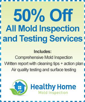 Lowest Price on Professional Mold Inspection and M