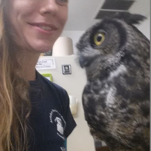 I am an educational bird handler at the Portland A