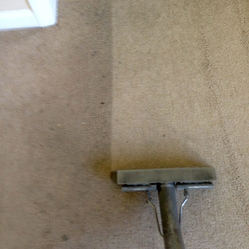Dramatic cleaning of carpet