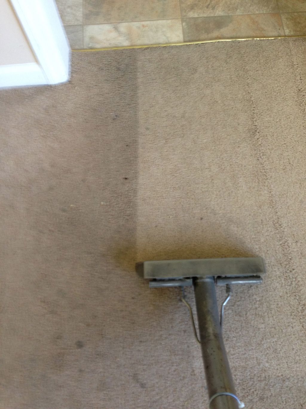 Dramatic cleaning of carpet