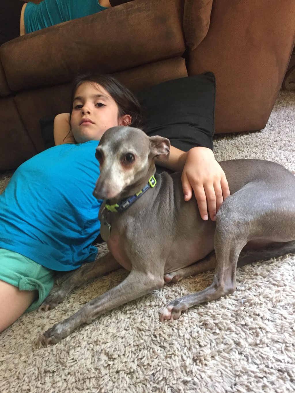 His chemical free products make us extremely pet a