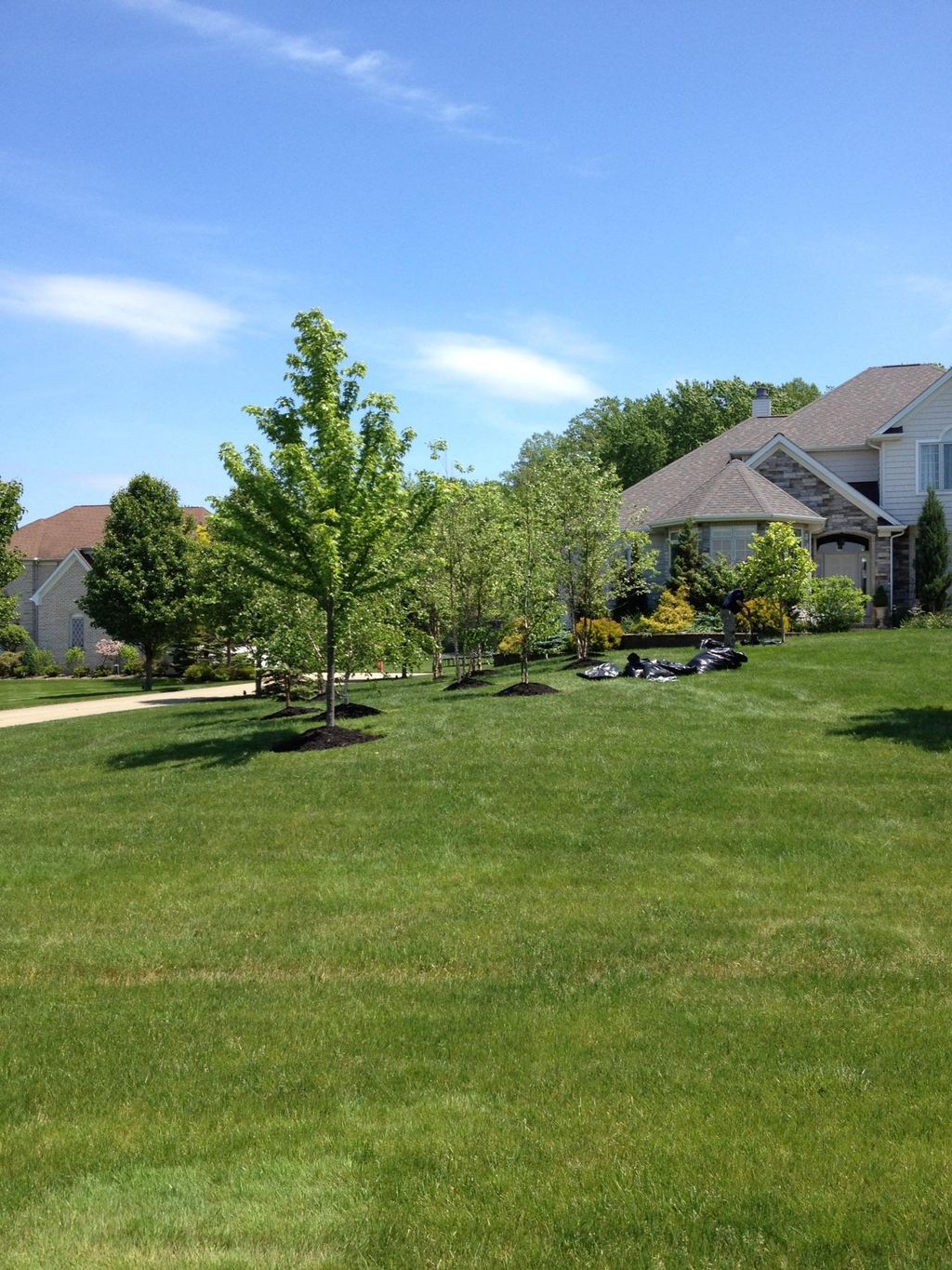 Edging,mulching,and triming